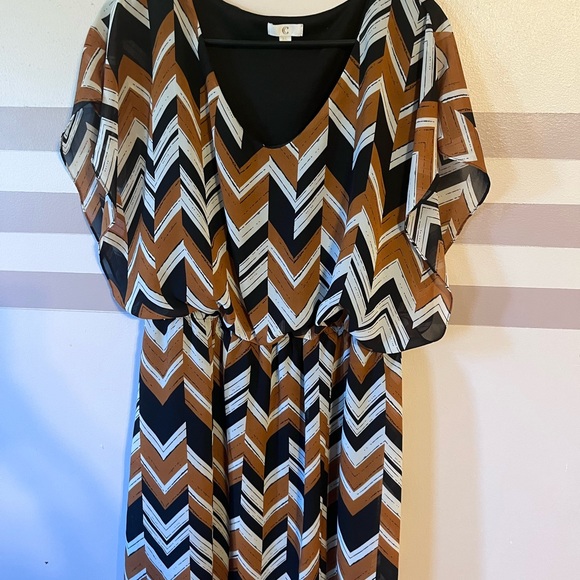 Charming Charlie dress - Picture 4 of 6